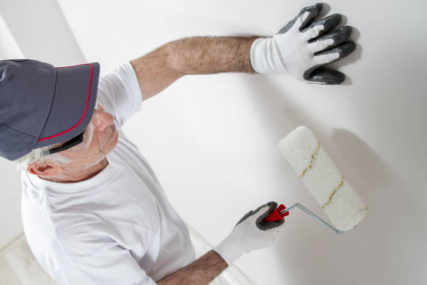 Best Basement Mold Removal  in Mcdonald, PA
