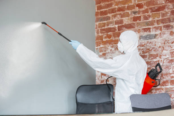 Professional Mold Removal in Mcdonald, PA